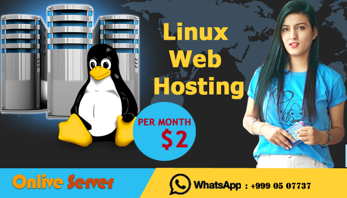 The Insider Guide to Linux Web Hosting Services in Europe