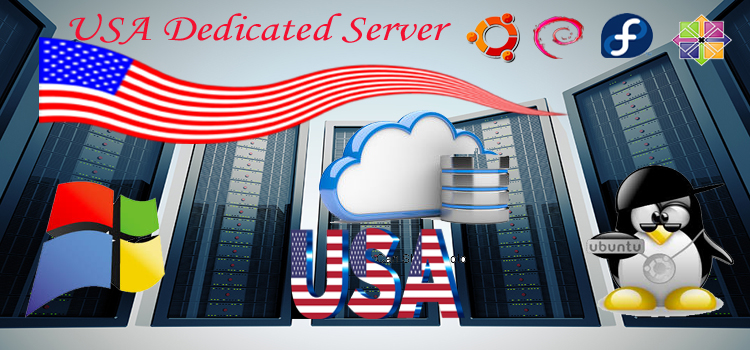 How can we explain Dedicated Server Hosting USA?