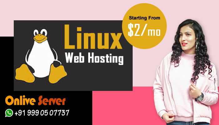 Keep Growing with Cheapest Linux VPS Hosting – Onlive Infotech