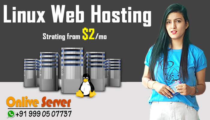 The Web Hosting Server Features with Experience for your Website Growth